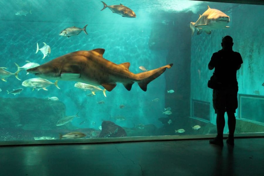 Acuario de Sevilla