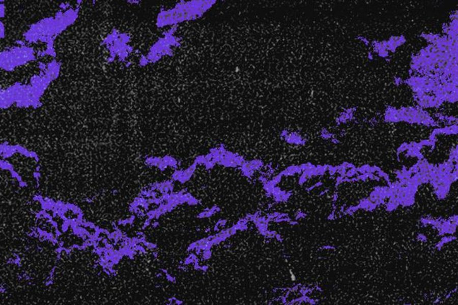 Concierto de D.Valentino + Rulo 901